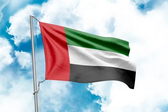 Flag of the UAE